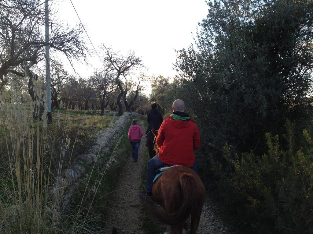 Willa Agriturismo Vita E Natura Noto Zewnętrze zdjęcie
