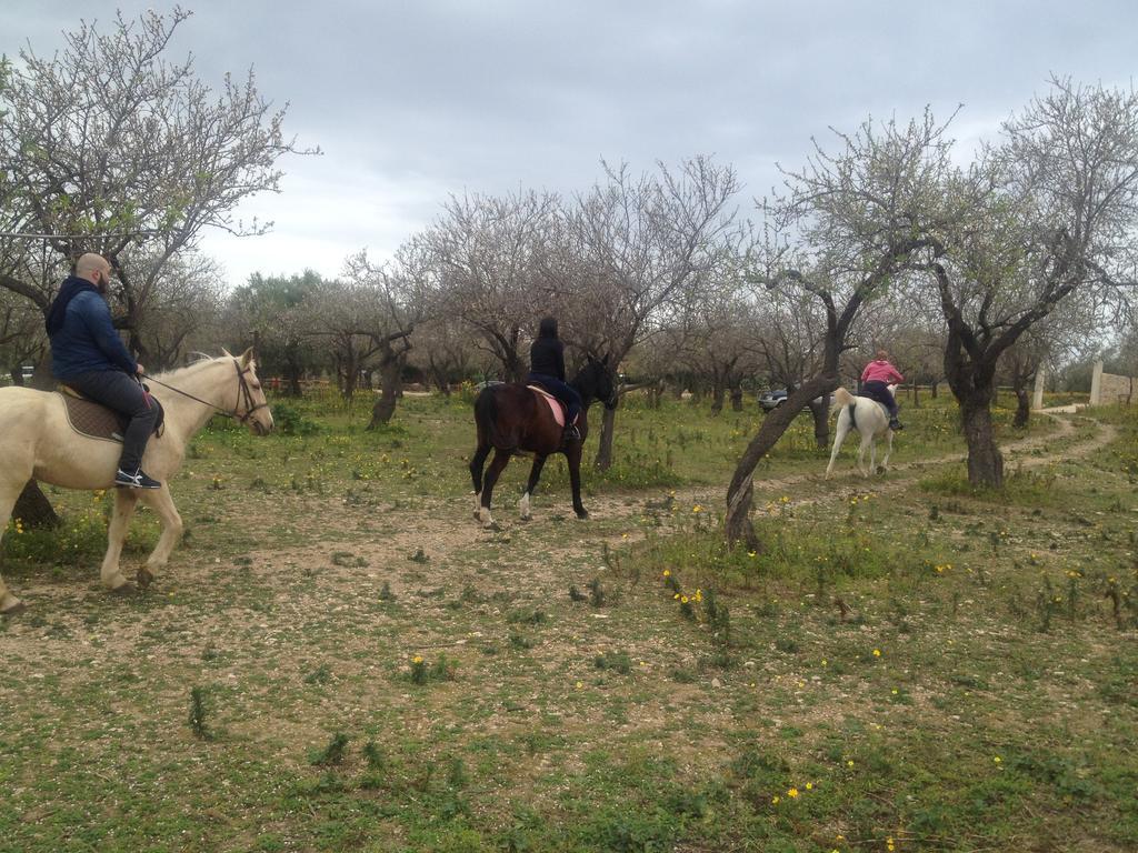 Willa Agriturismo Vita E Natura Noto Zewnętrze zdjęcie