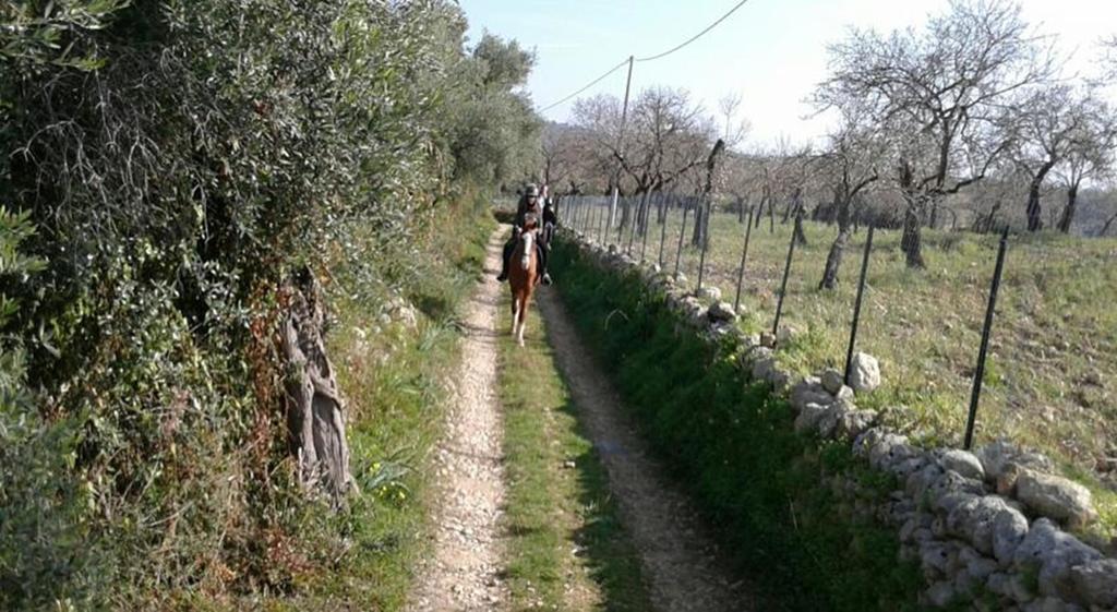 Willa Agriturismo Vita E Natura Noto Zewnętrze zdjęcie